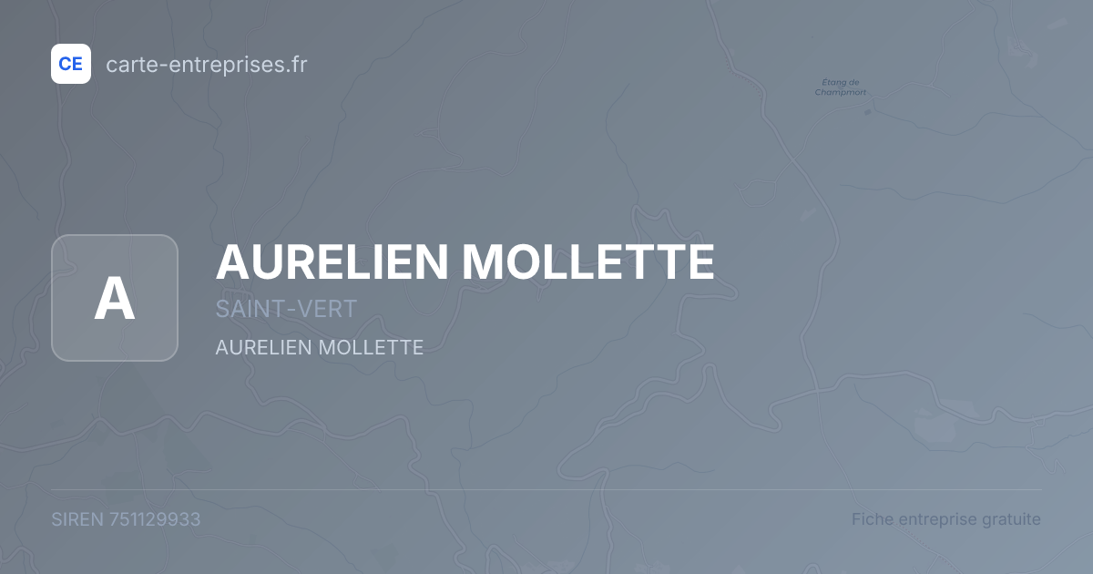 AURELIEN MOLLETTE — 751129933 — fiche entreprise