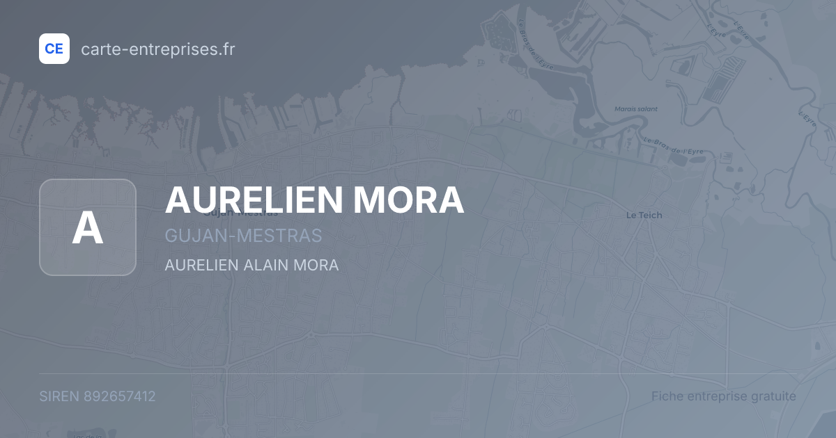 AURELIEN MORA — 892657412 — fiche entreprise