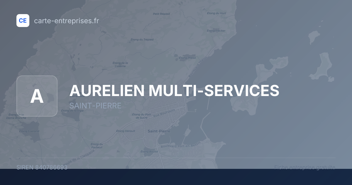 AURELIEN MULTI-SERVICES — 840786693 — fiche entreprise