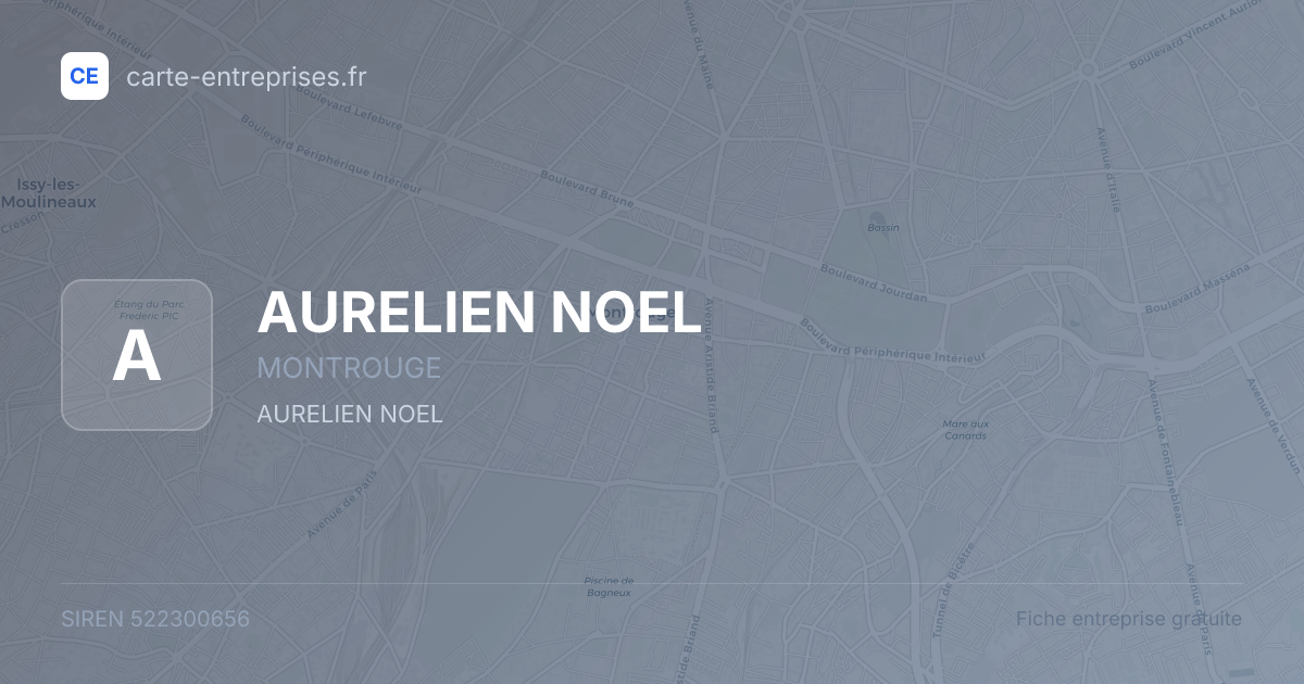 AURELIEN NOEL — 522300656 — fiche entreprise