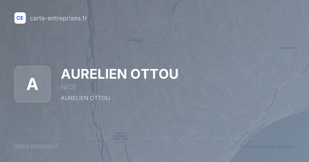 AURELIEN OTTOU — 891005522 — fiche entreprise