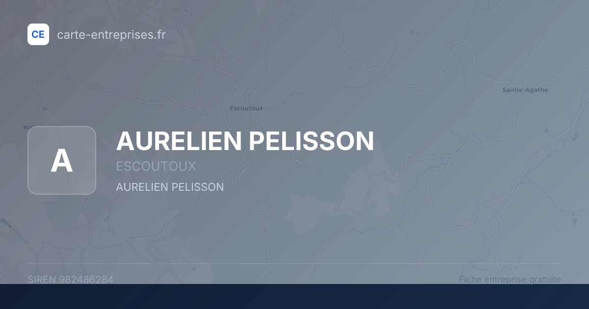 AURELIEN PELISSON — 982486284 — fiche entreprise