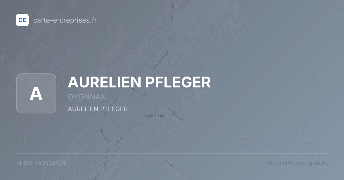 AURELIEN PFLEGER — 450528401 — fiche entreprise