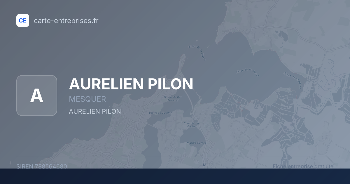 AURELIEN PILON — 788564680 — fiche entreprise