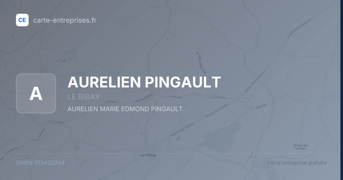 AURELIEN PINGAULT — 913433744 — fiche entreprise