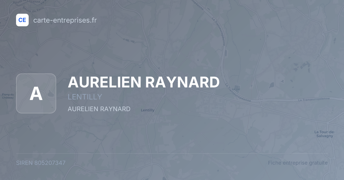AURELIEN RAYNARD — 805207347 — fiche entreprise