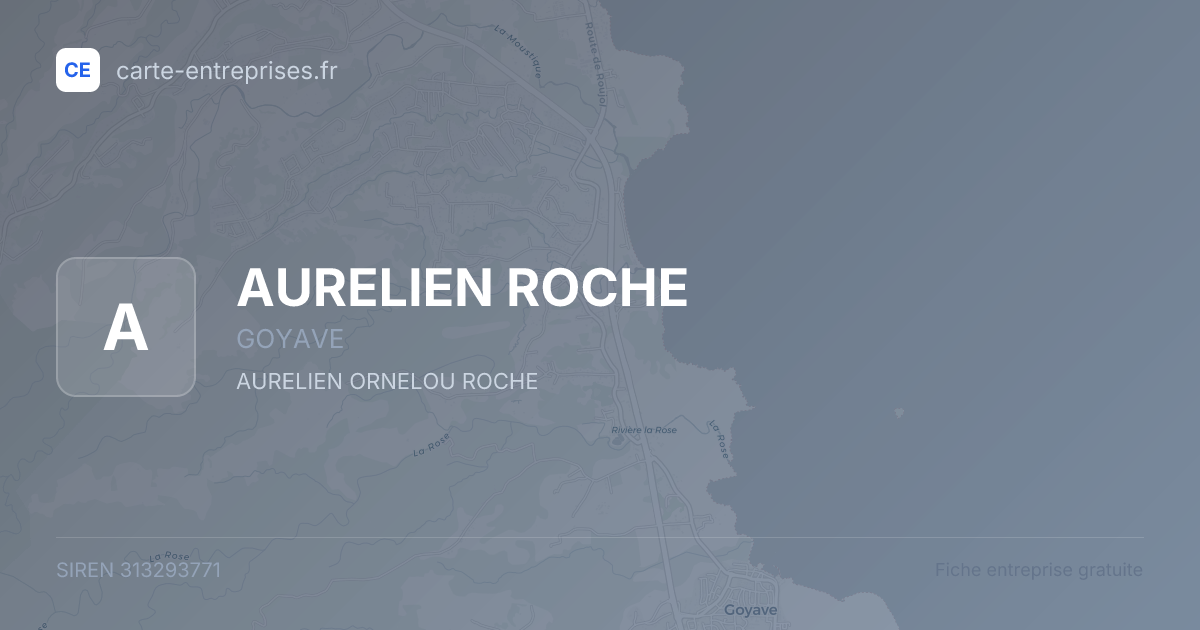 AURELIEN ROCHE — 313293771 — fiche entreprise