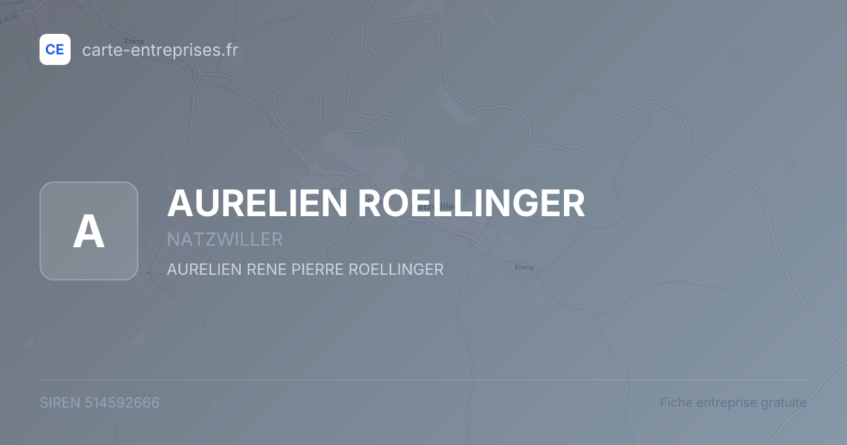 AURELIEN ROELLINGER — 514592666 — fiche entreprise
