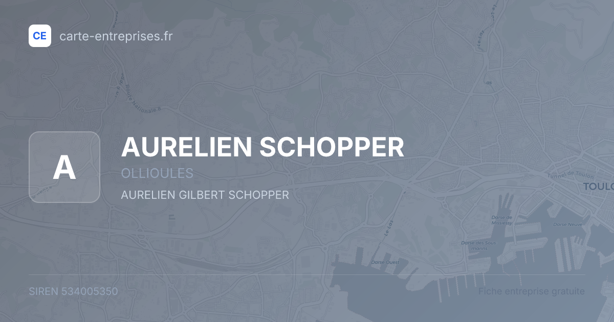 AURELIEN SCHOPPER — 534005350 — fiche entreprise