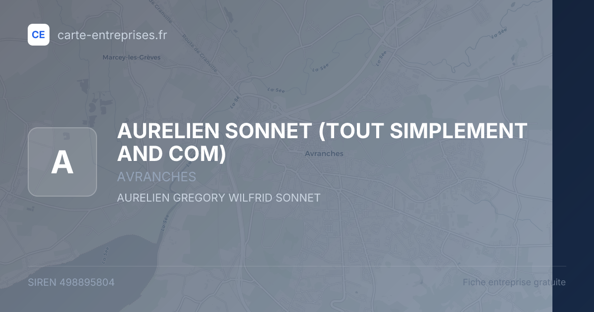 AURELIEN SONNET (TOUT SIMPLEMENT AND COM) — 498895804 — fiche entreprise