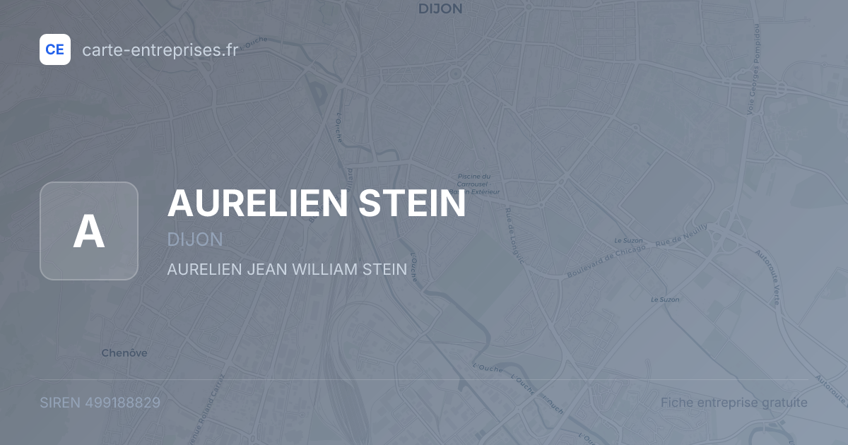 AURELIEN STEIN — 499188829 — fiche entreprise