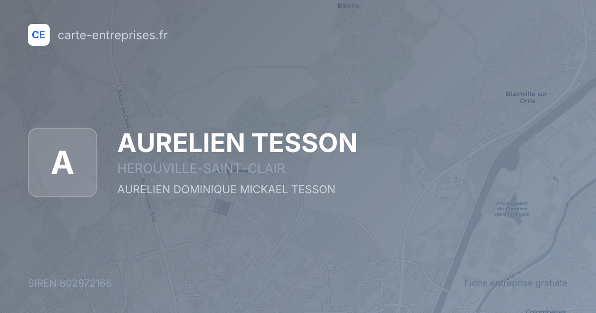 AURELIEN TESSON — 802972166 — fiche entreprise