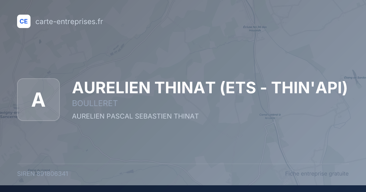 AURELIEN THINAT (ETS - THIN'API) — 891806341 — fiche entreprise
