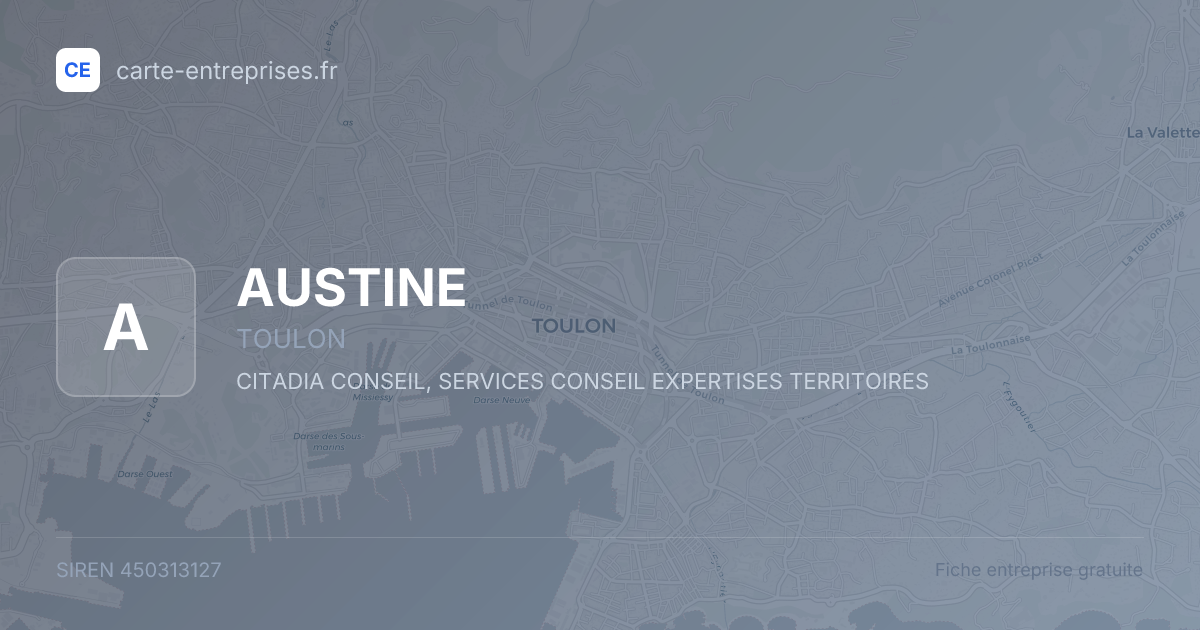 AUSTINE — 450313127 — fiche entreprise