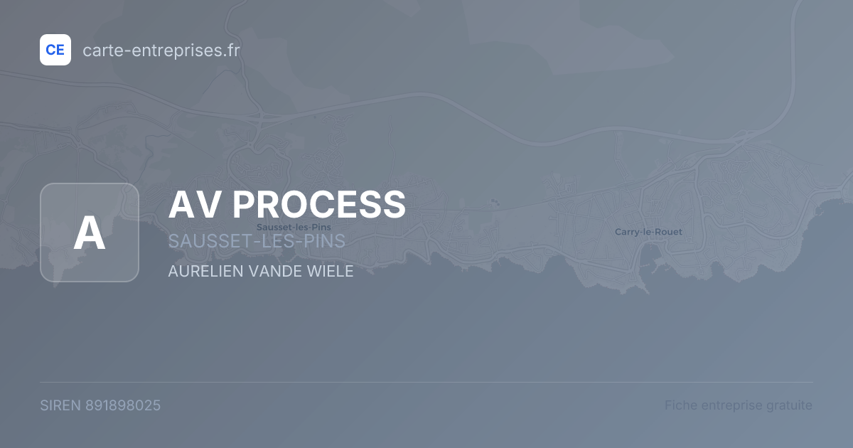 AV PROCESS — 891898025 — fiche entreprise
