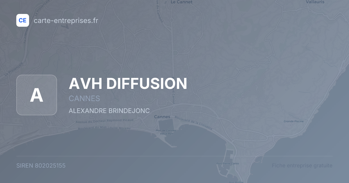AVH DIFFUSION — 802025155 — fiche entreprise