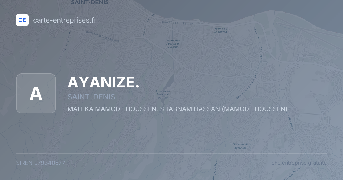 AYANIZE. — 979340577 — fiche entreprise