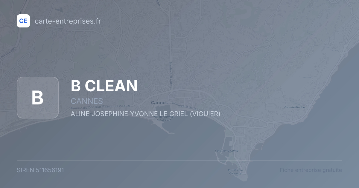B CLEAN — 511656191 — fiche entreprise