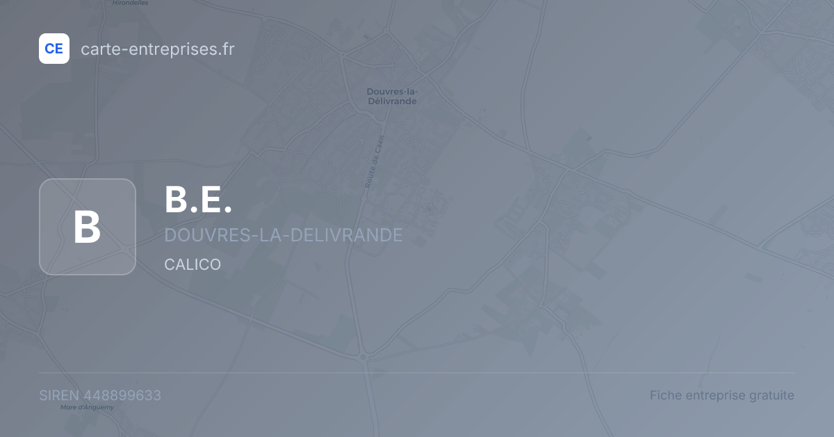 B.E. — 448899633 — fiche entreprise