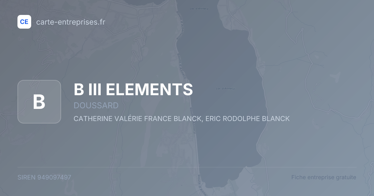 B III ELEMENTS — 949097497 — fiche entreprise