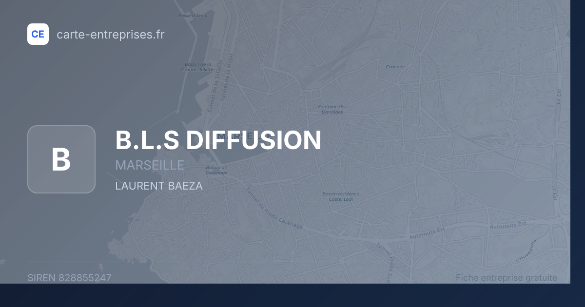 B.L.S DIFFUSION — 828855247 — fiche entreprise