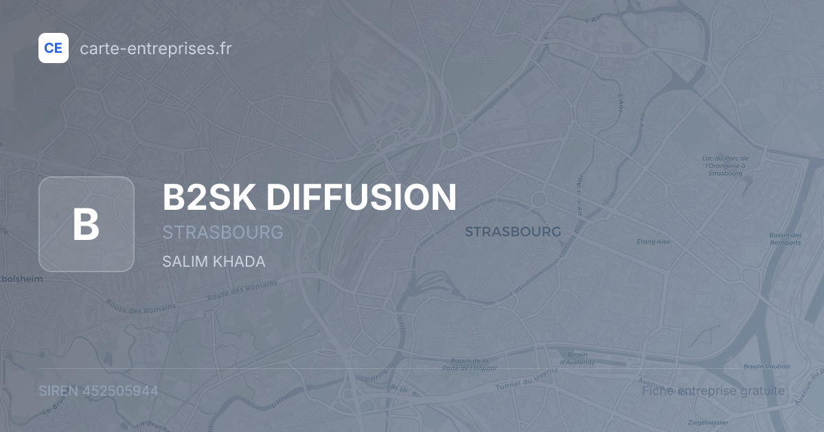 B2SK DIFFUSION — 452505944 — fiche entreprise