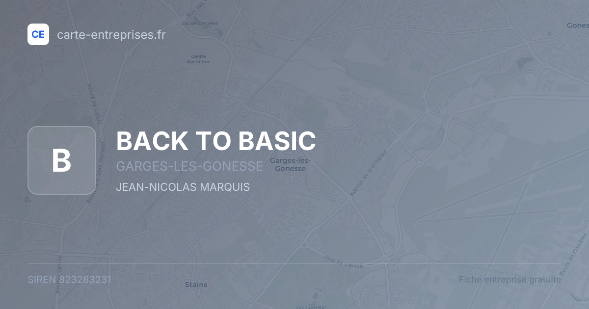 BACK TO BASIC — 823263231 — fiche entreprise