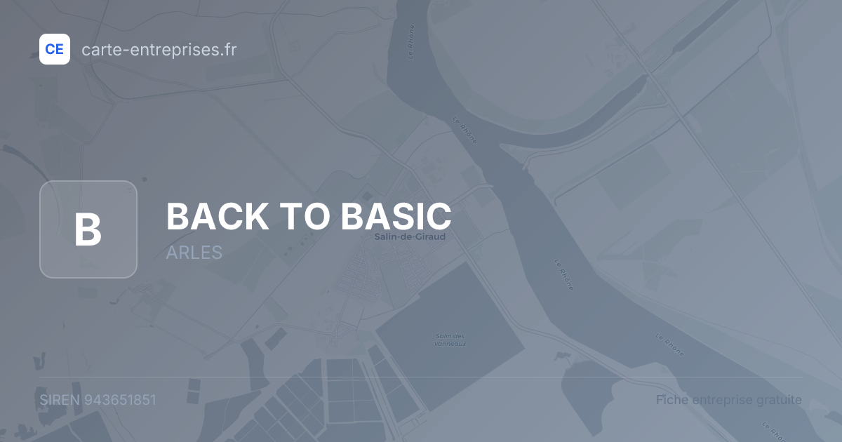 BACK TO BASIC — 943651851 — fiche entreprise