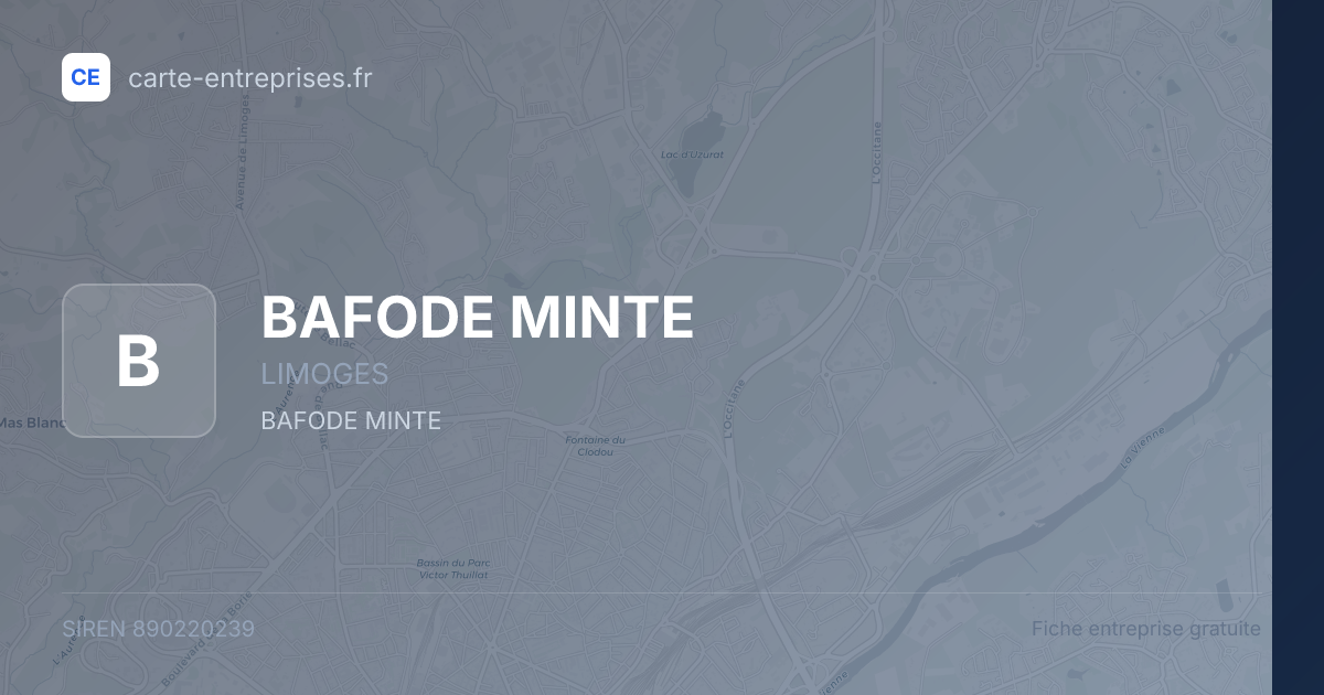 BAFODE MINTE — 890220239 — fiche entreprise
