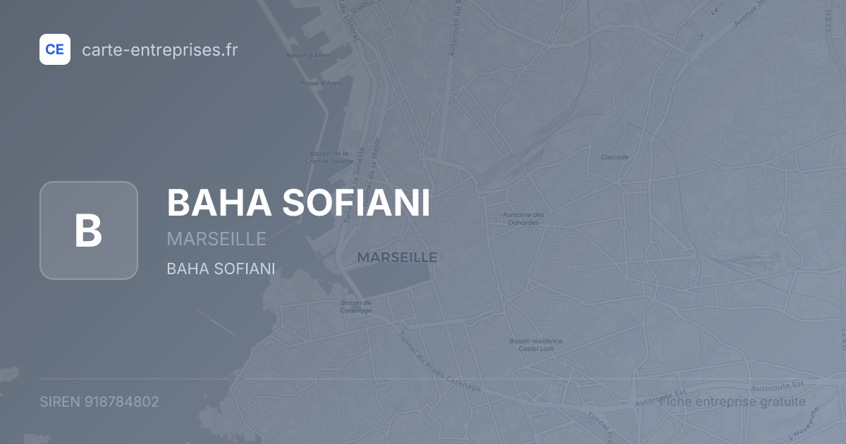 BAHA SOFIANI — 918784802 — fiche entreprise