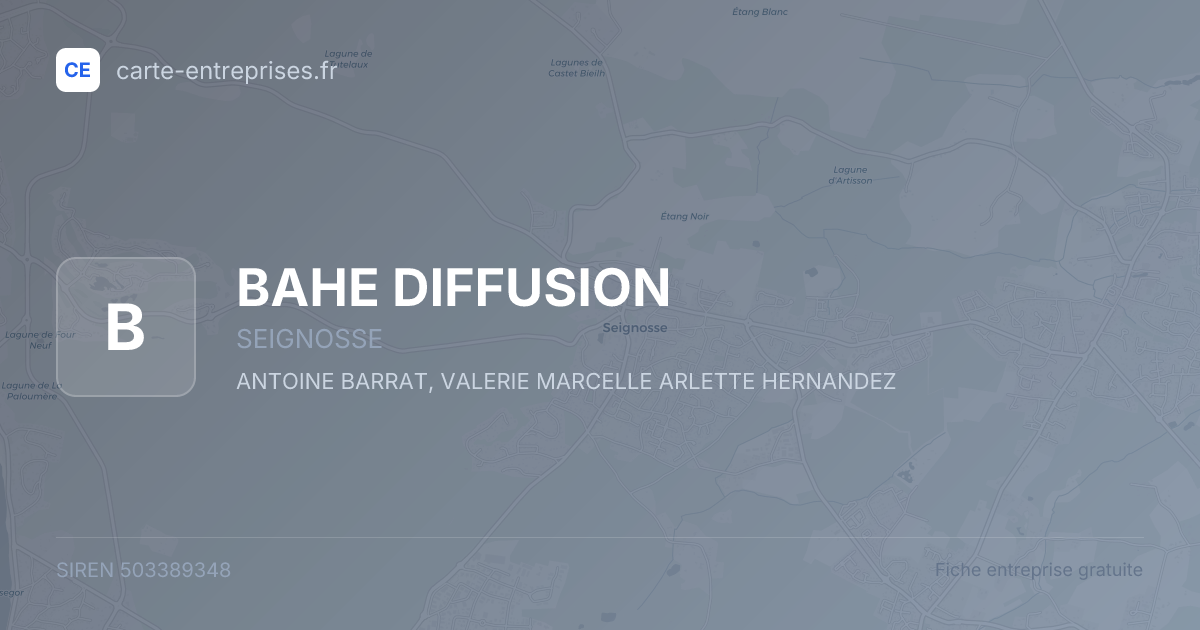 BAHE DIFFUSION — 503389348 — fiche entreprise