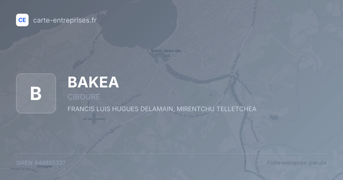 BAKEA — 449855337 — fiche entreprise