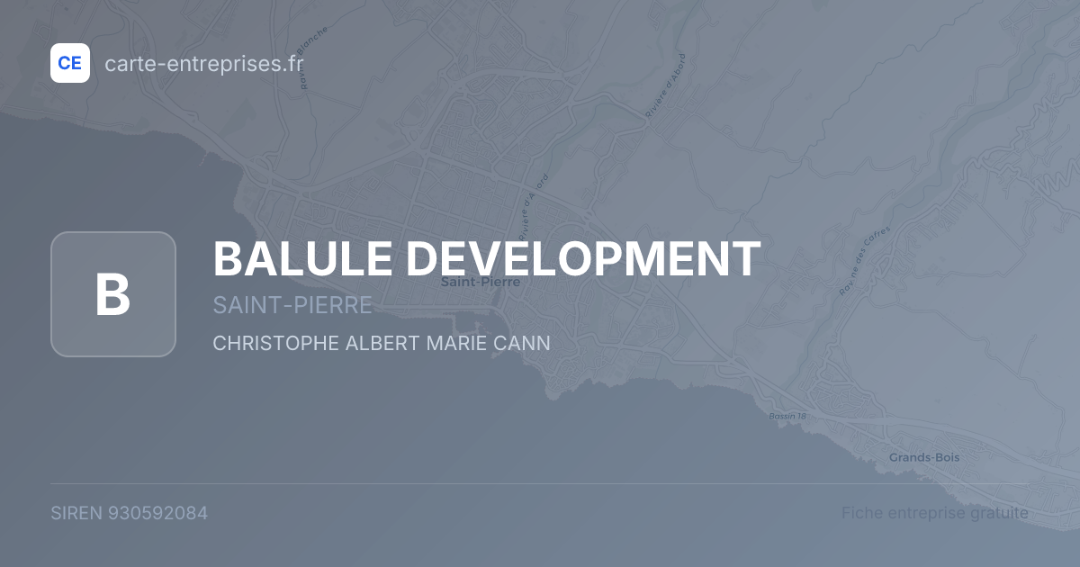 BALULE DEVELOPMENT — 930592084 — fiche entreprise