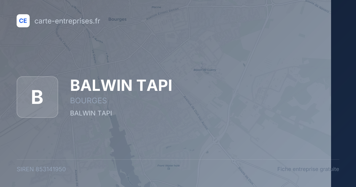 BALWIN TAPI — 853141950 — fiche entreprise