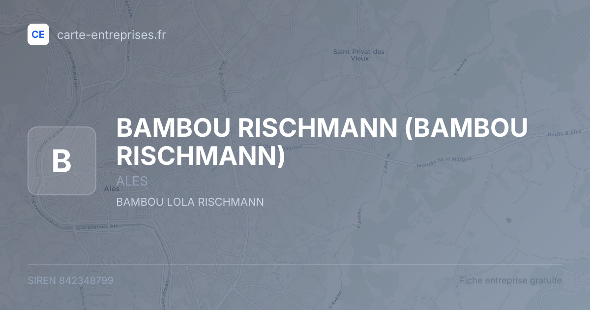 BAMBOU RISCHMANN — 842348799 — fiche entreprise