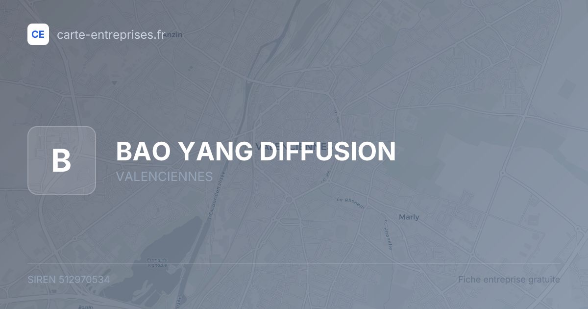 BAO YANG DIFFUSION — 512970534 — fiche entreprise