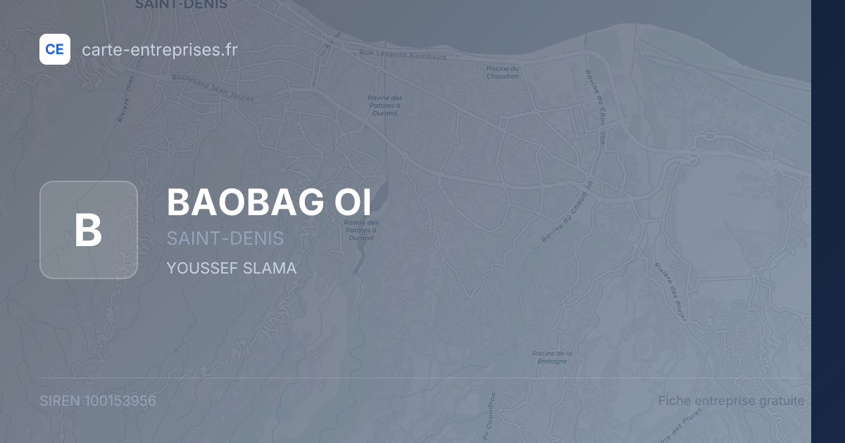 BAOBAG OI — 100153956 — fiche entreprise