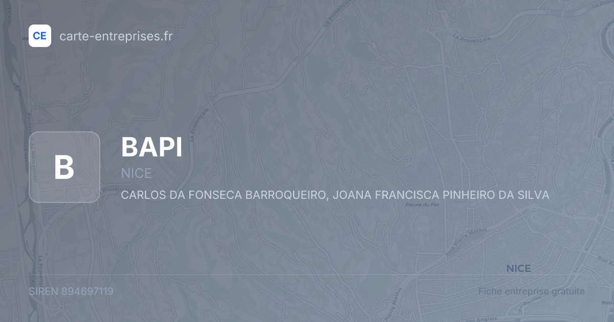 BAPI — 894697119 — fiche entreprise