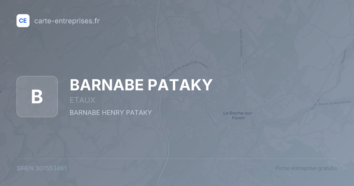 BARNABE PATAKY — 307553461 — fiche entreprise