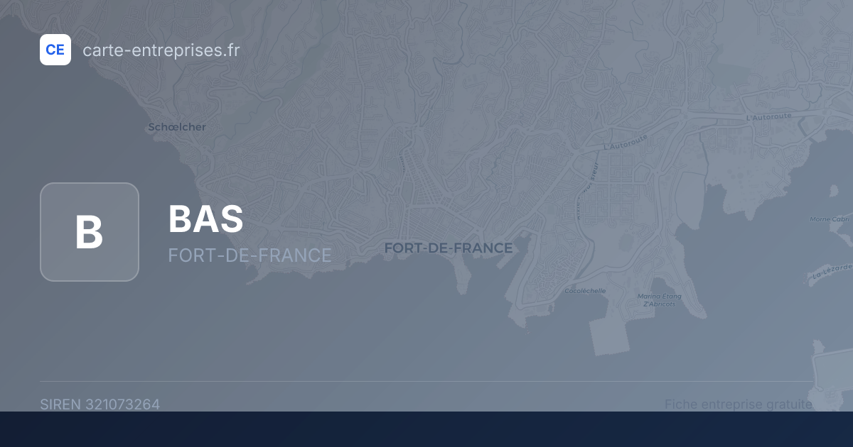 BAS — 321073264 — fiche entreprise