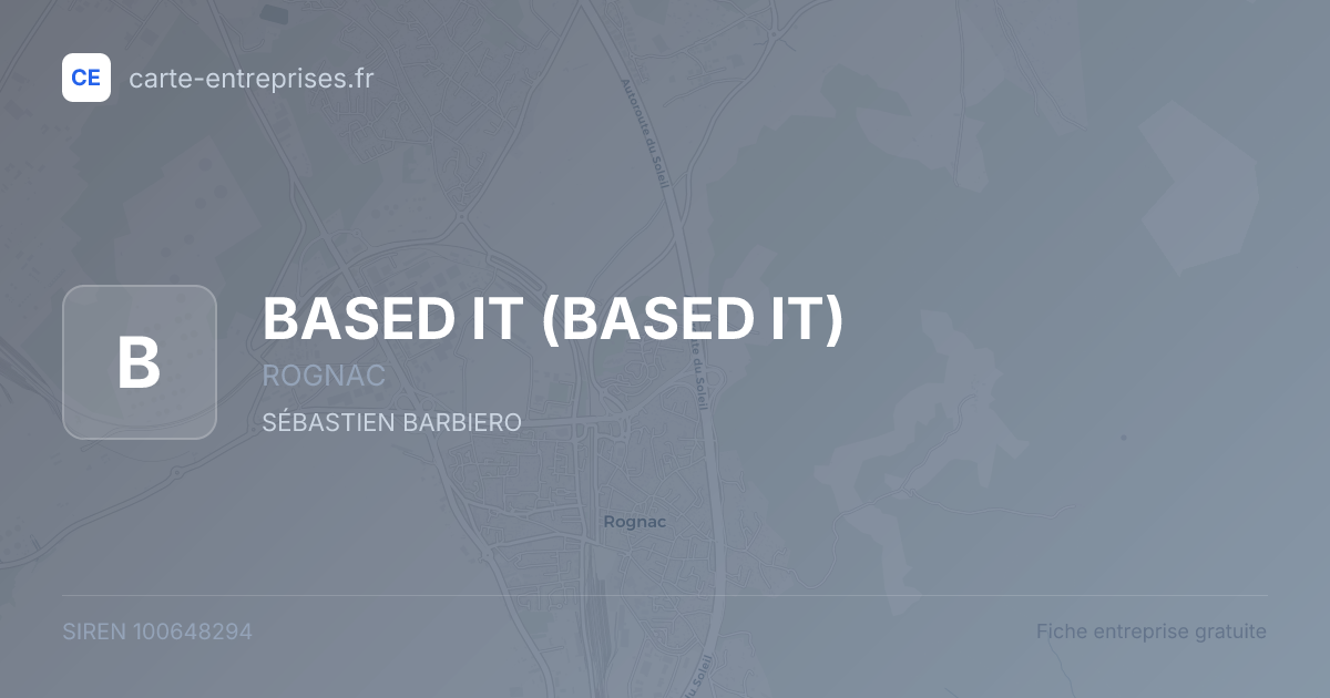 BASED IT — 100648294 — fiche entreprise