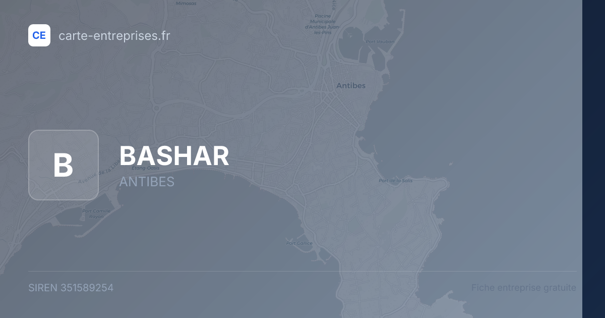 BASHAR — 351589254 — fiche entreprise