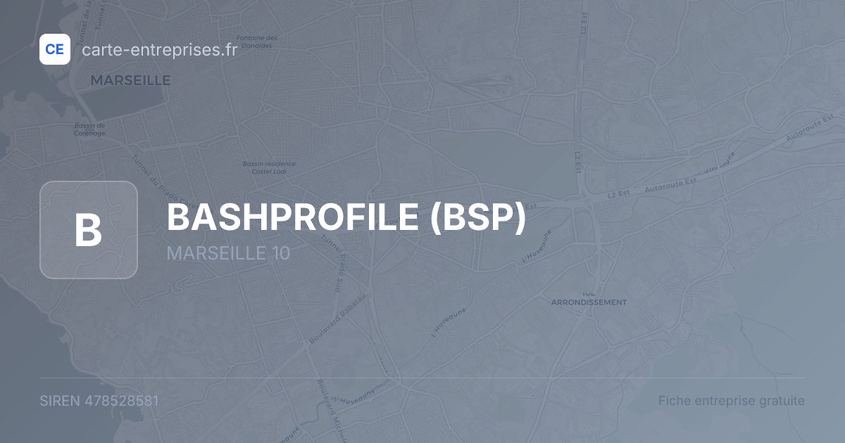 BASHPROFILE (BSP) — 478528581 — fiche entreprise