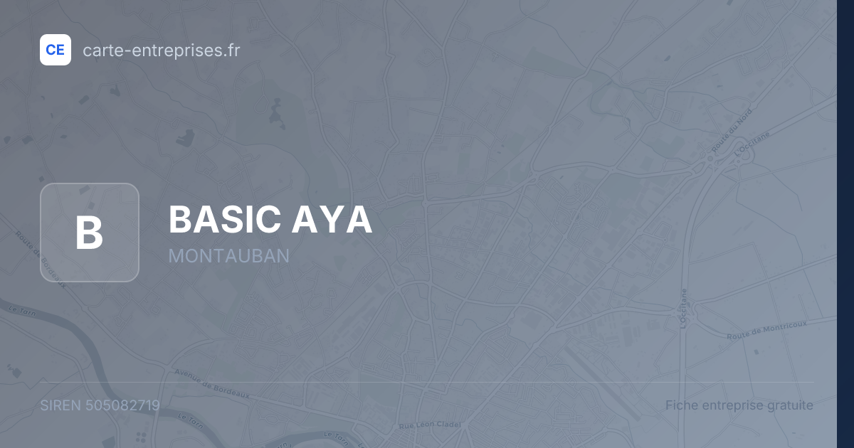 BASIC AYA — 505082719 — fiche entreprise