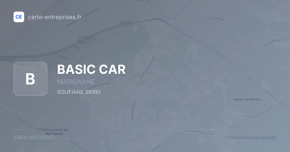 BASIC CAR — 981200942 — fiche entreprise