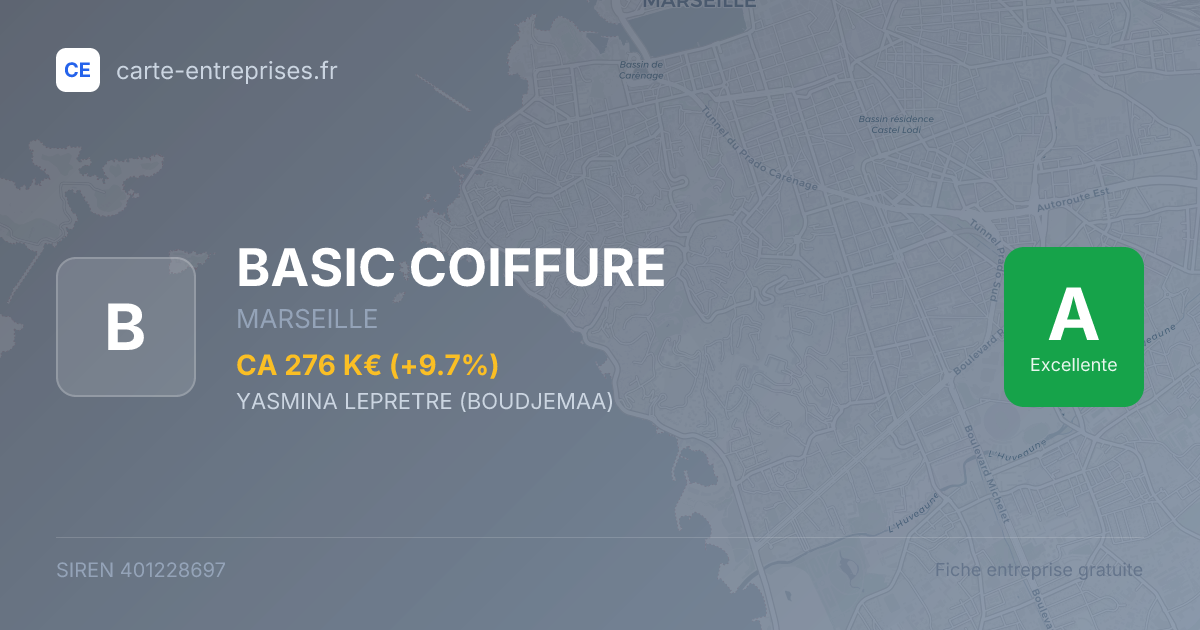BASIC COIFFURE — 401228697 — fiche entreprise