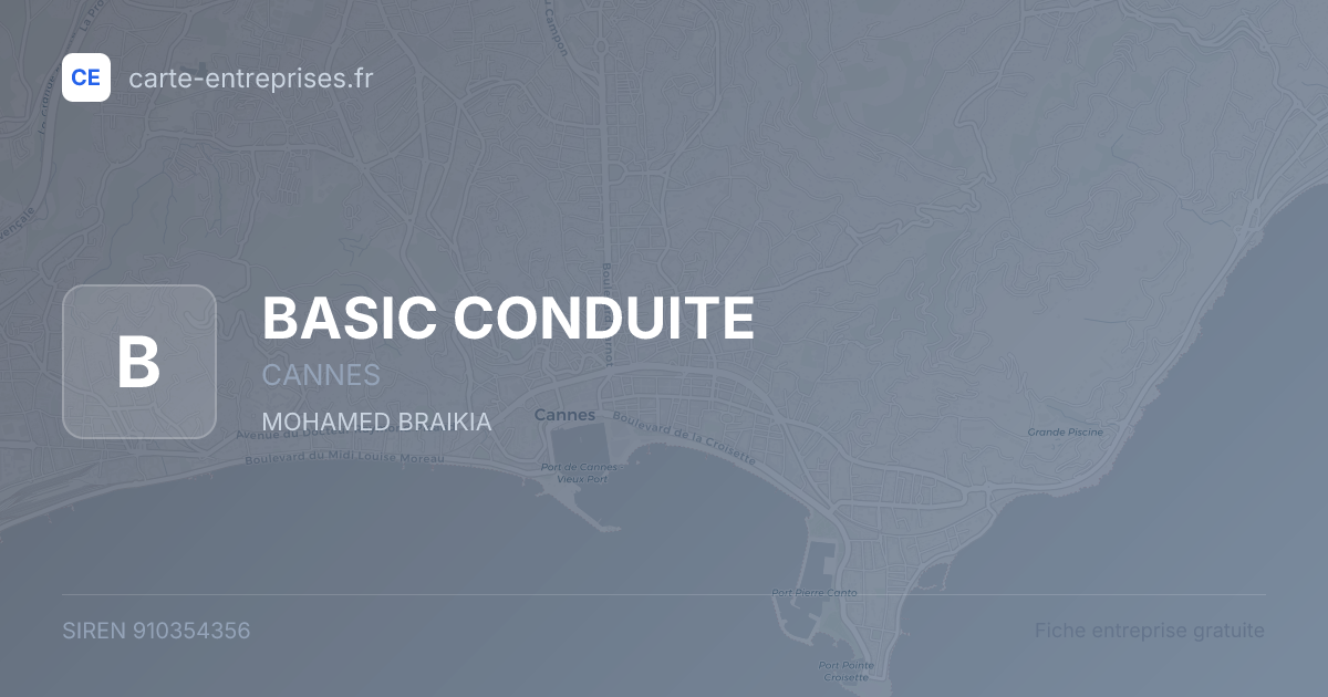 BASIC CONDUITE — 910354356 — fiche entreprise