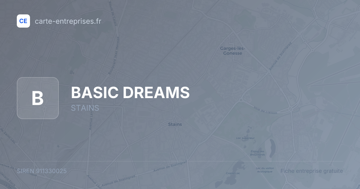 BASIC DREAMS — 911330025 — fiche entreprise