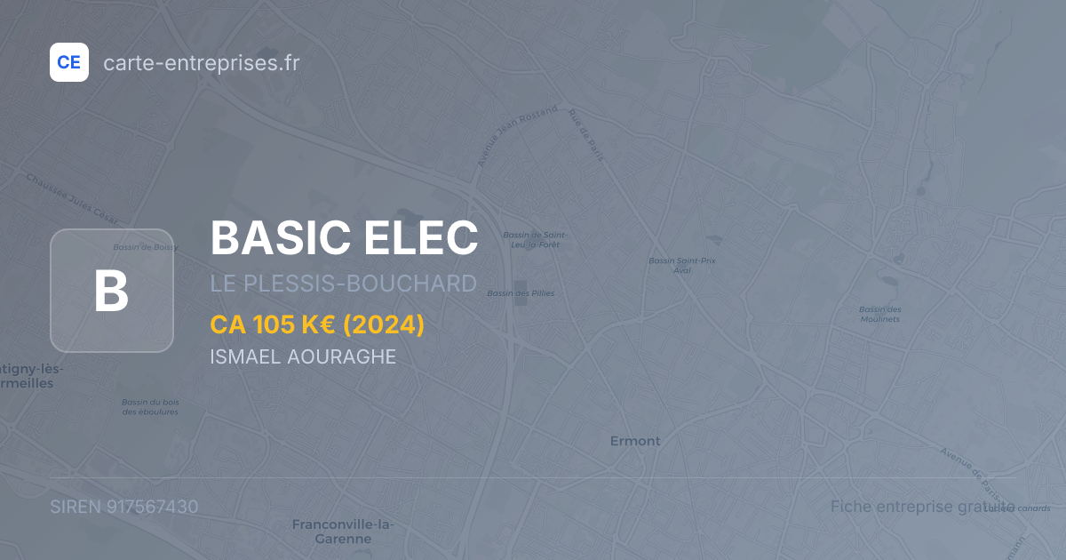 BASIC ELEC — 917567430 — fiche entreprise