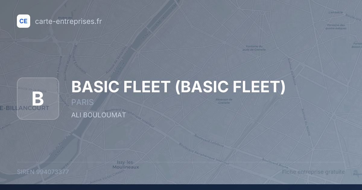 BASIC FLEET — 994073377 — fiche entreprise